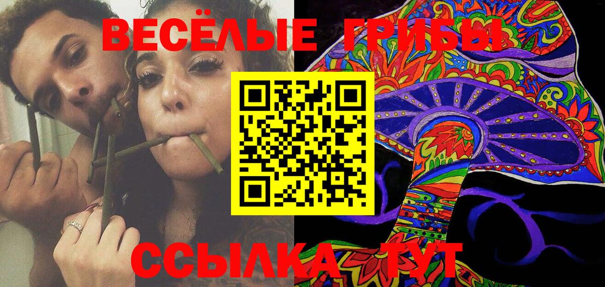 Галлюциногенные грибы MAGIC MUSHROOMS  Вход с VPN  Псилоцибиновые грибы Cubensis  Тверь 