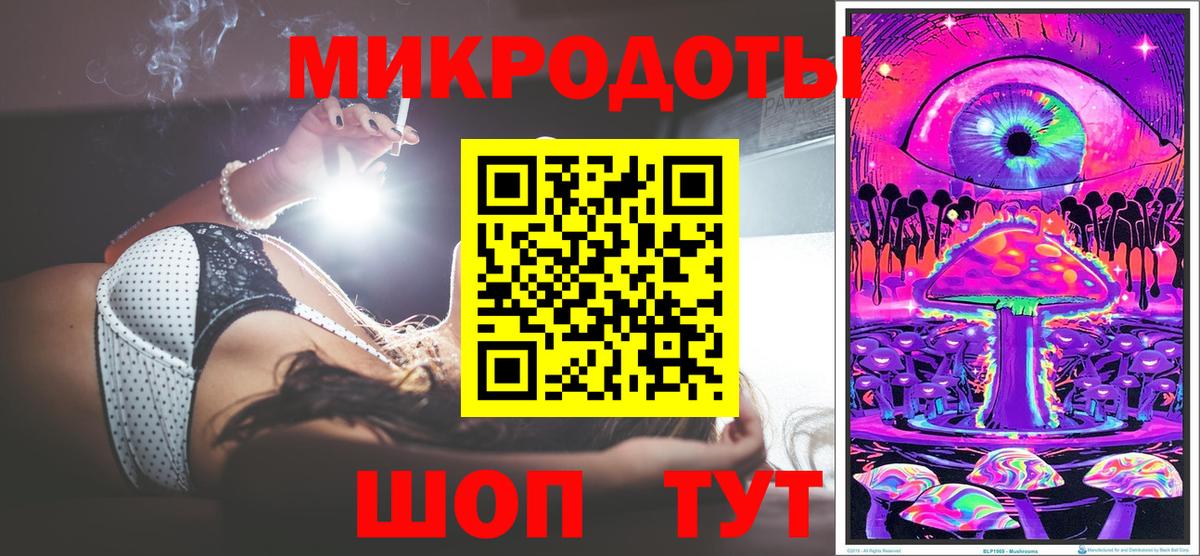 Псилоцибиновые грибы Cubensis Тверь